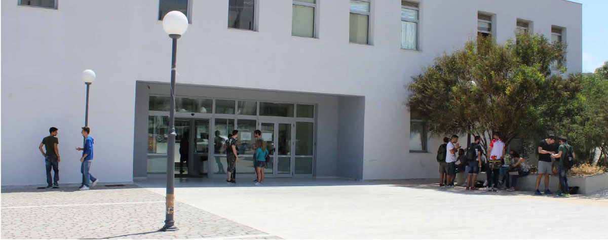 studies_banner