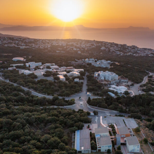 DJI_0830-Edit