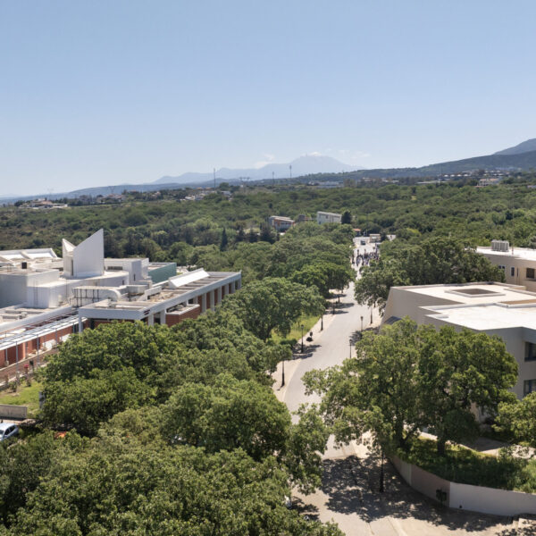 DJI_0671