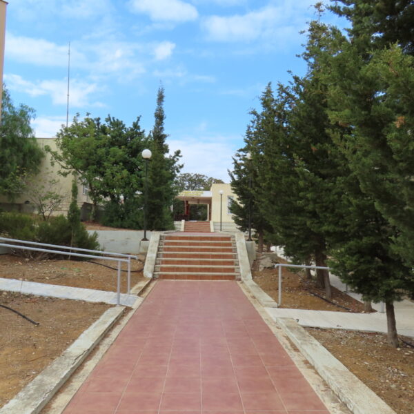 Green paths in the Administration building (4)