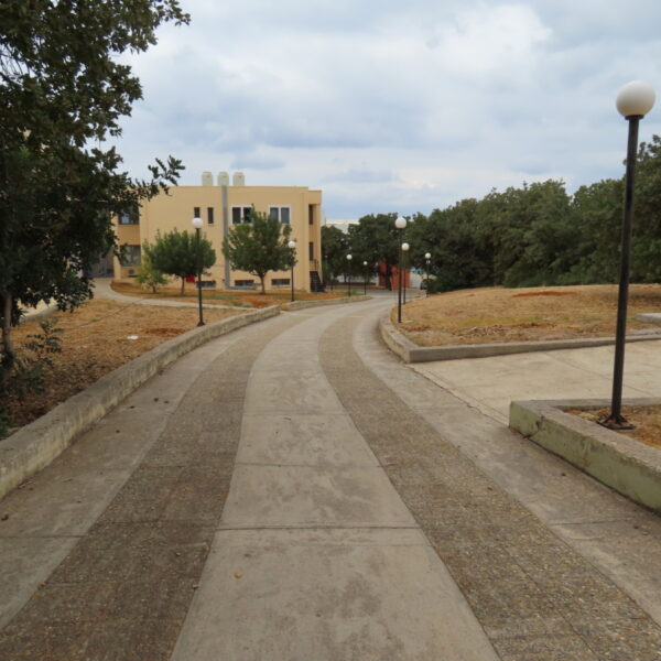 Path to the main Library