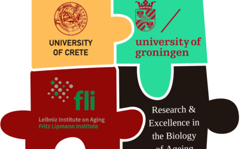 Research & Excellence in the Biology of Ageing