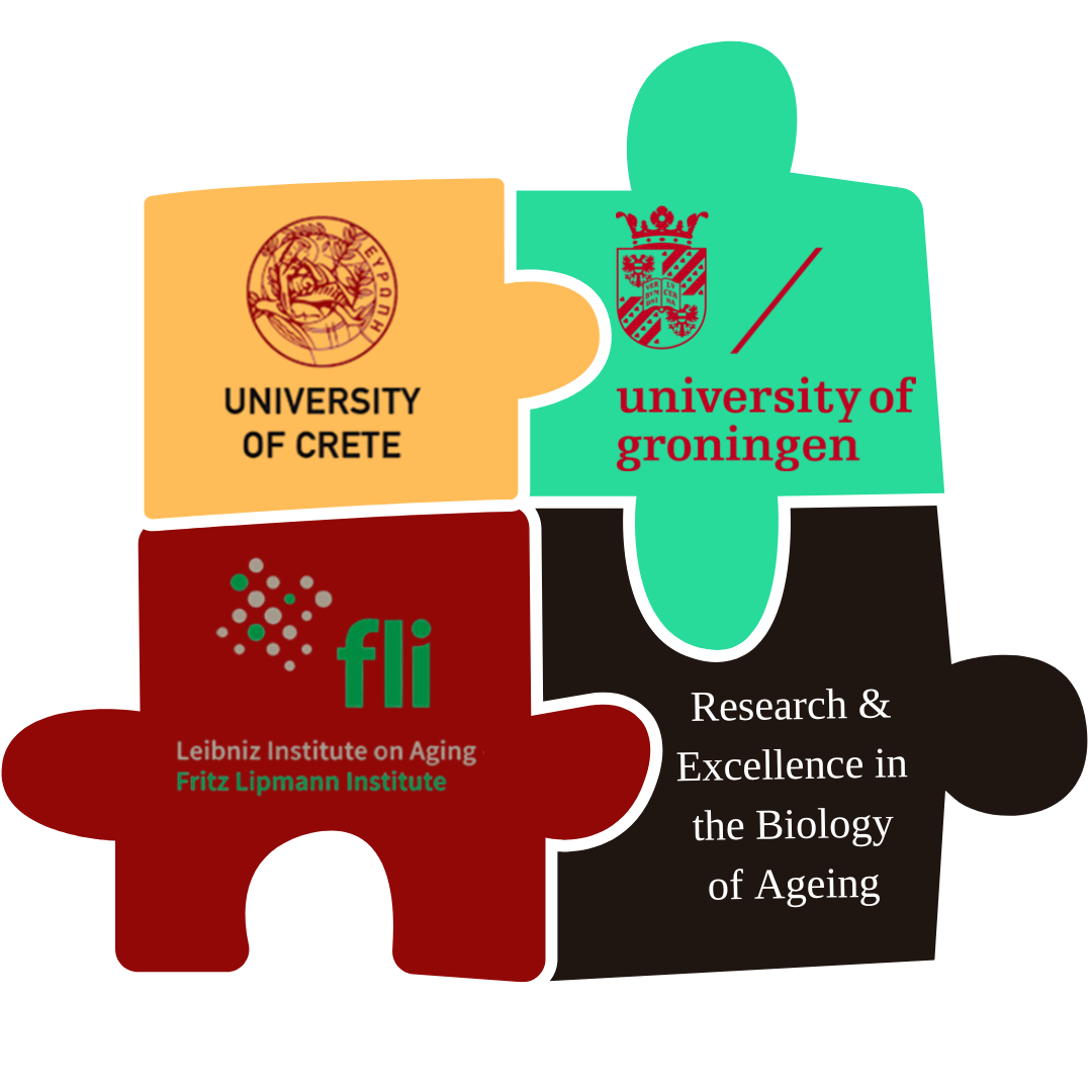 Research & Excellence in the Biology of Ageing