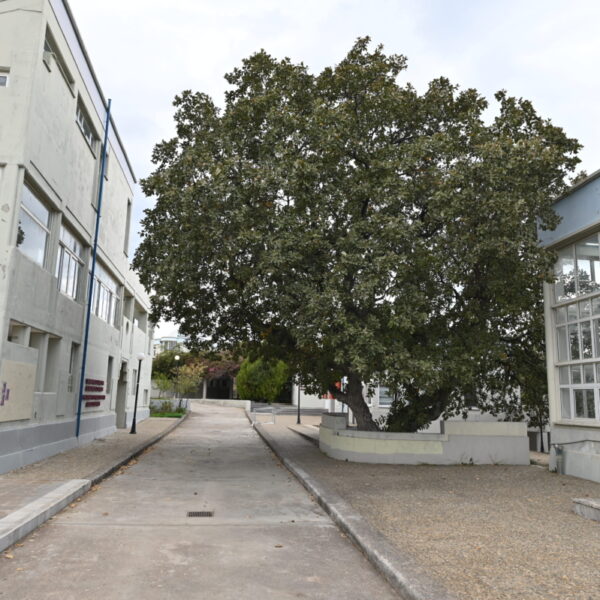 School of Philosophy_1