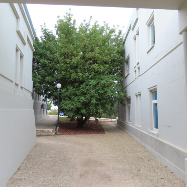 discussion and communication space in the faculty of philosophical studies in the archeology department (7)