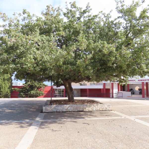 location of relaxation and contemplation outside the Administration (1)