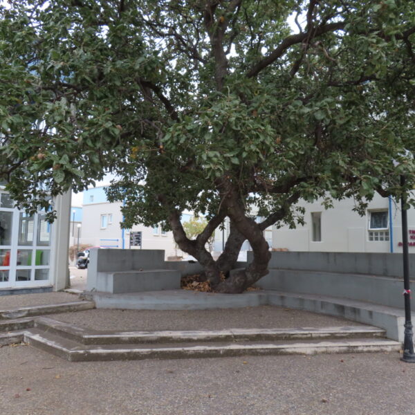 space for discussion and communication in the Faculty of Education (11)