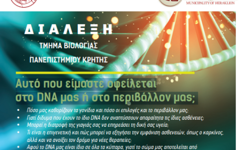 2024-12-09 11_35_46-Window