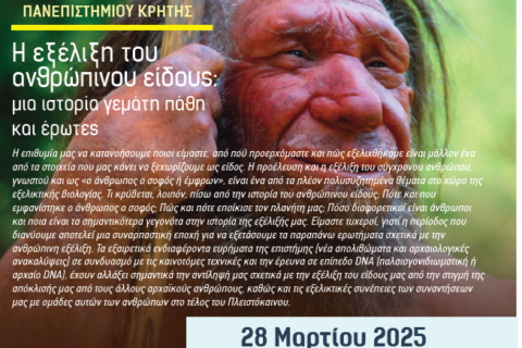 2025-03-14 14_33_00-invi_poulakakis.pdf - Adobe Acrobat Pro