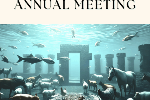 web_Announcement_4EURCAWs-Annual-Meeting-13-14-May-2025