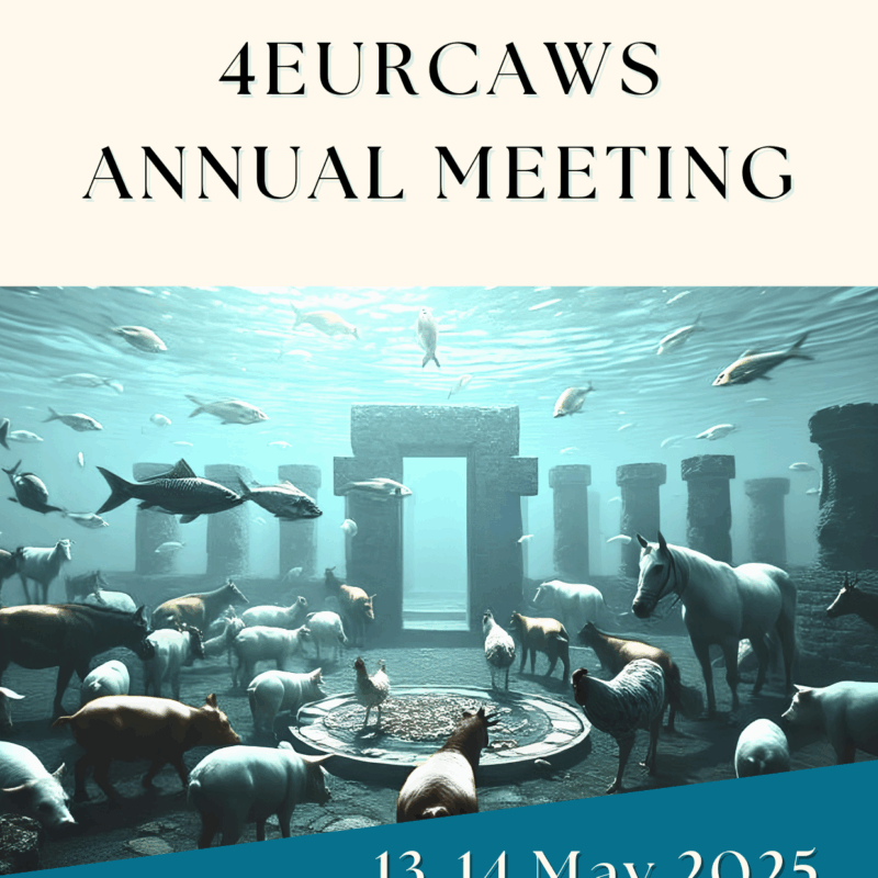 web_Announcement_4EURCAWs-Annual-Meeting-13-14-May-2025
