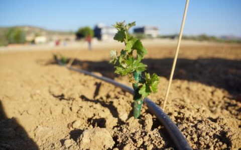 1000074571-1600×900-1-770x400