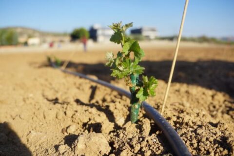 1000074571-1600×900-1-770x400