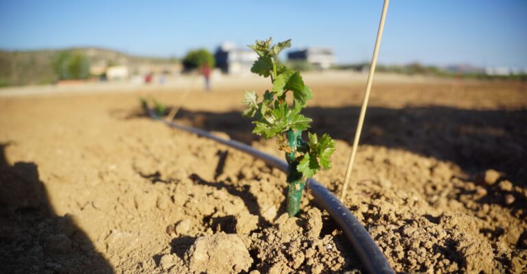 1000074571-1600×900-1-770x400