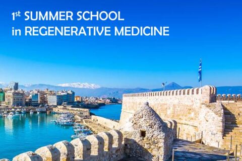 Παρουσίαση του PowerPoint